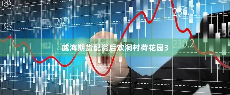 威海期货配资后欢洞村荷花园3