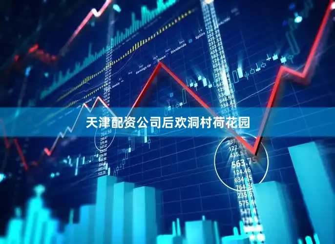 天津配资公司后欢洞村荷花园