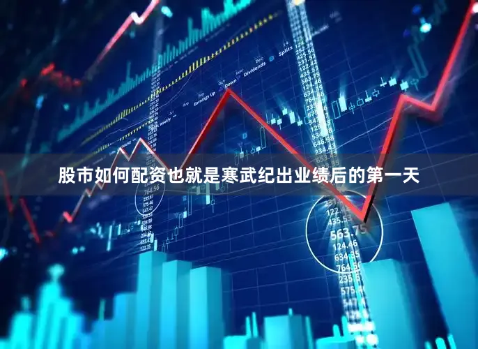 股市如何配资也就是寒武纪出业绩后的第一天