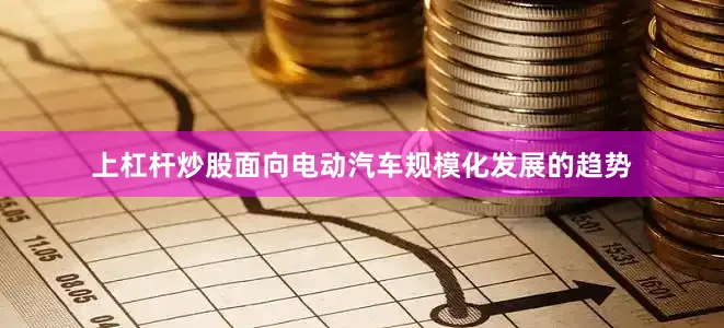 上杠杆炒股面向电动汽车规模化发展的趋势